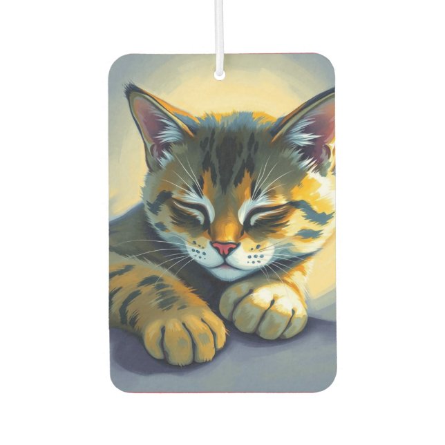 Ambientador Gato durmiendo (Anverso)