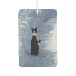 Ambientador gato en la nieve