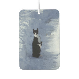Ambientador gato en la nieve