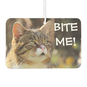 Ambientador Gato Sassy Divertido con Actitud Muérdeme