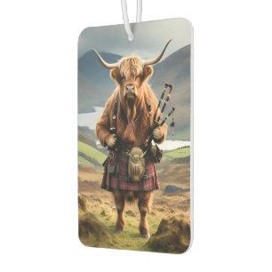 Ambientador Gaynero de Highland escocés,