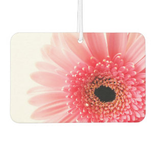 Ambientador Gerbera Daisy