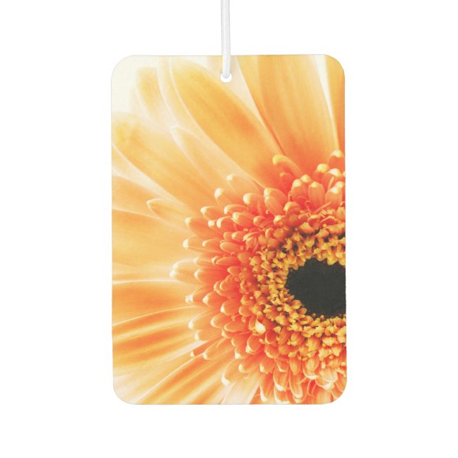 Ambientador Gerbera Daisy (Anverso)