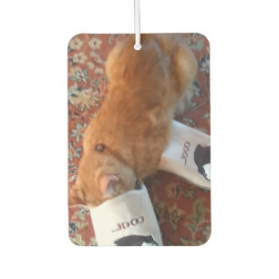 Ambientador ginger cat
