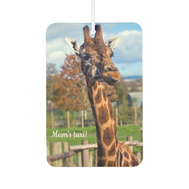 Ambientador Giraffe Car air freshener (Anverso)