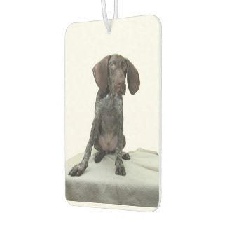 Ambientador Glossy Grizzly Air Freshener