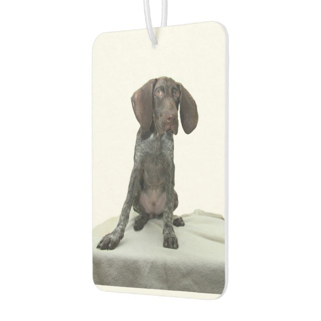 Ambientador Glossy Grizzly Air Freshener (Izquierda)