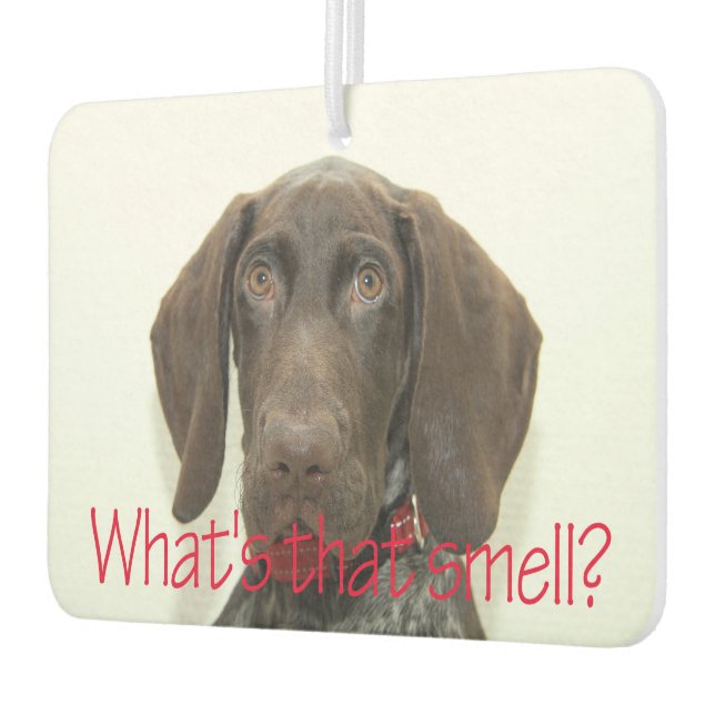 Ambientador Glossy Grizzly qué es ese olor (Izquierda)