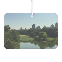 Gran Césped Central Park New York City NYC Foto