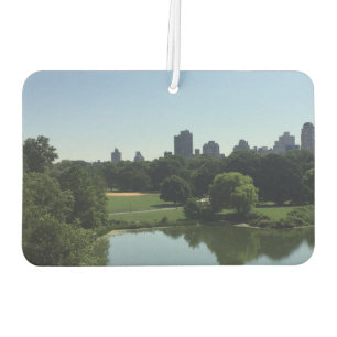 Ambientador Gran Césped Central Park New York City NYC Foto