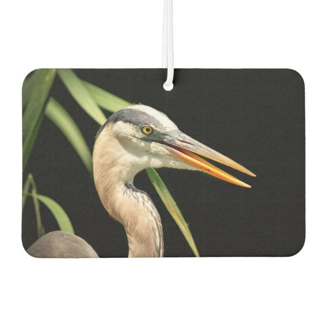 Ambientador Gran garza azul (Anverso)