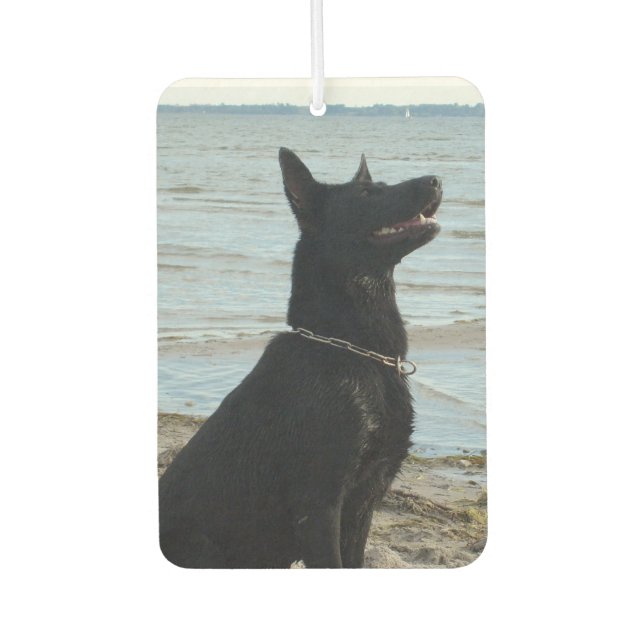 Ambientador GSD negro lacquer en la playa (Anverso)