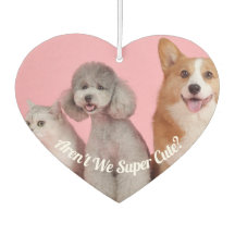 ¿Guay no somos súper amables? Mascota Photo Air Fr