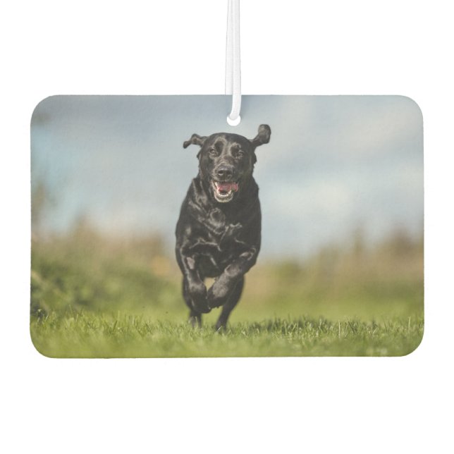 Ambientador Happy Black Labrador Retriever Running Air Freshen (Anverso)