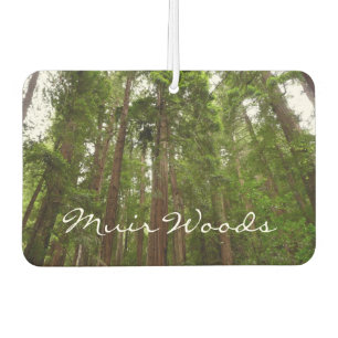 Ambientador Hasta Redwoods I en el Monumento Nacional Muir Woo