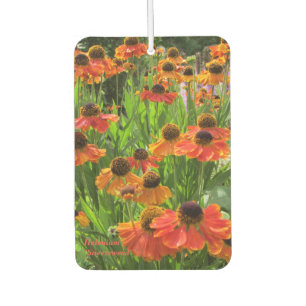Ambientador Helenium "Sneezeweed"