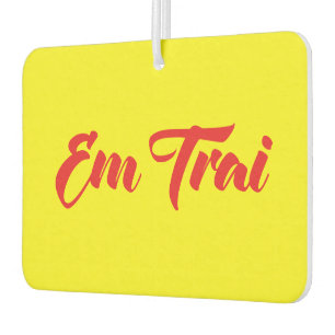 Ambientador Hermano Vietnamita (Joven) - Em Trai ~ Tien Viene