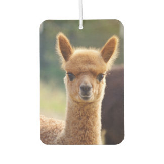 Ambientador Hermoso Baby Alpaca Air Freshener