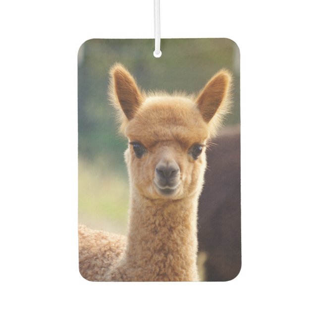 Ambientador Hermoso Baby Alpaca Air Freshener (Anverso)