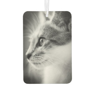 Ambientador Hermoso Kitten Air Freshener