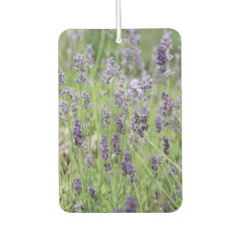 Ambientador Hermoso Lavanda