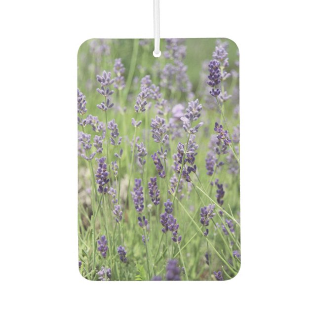 Ambientador Hermoso Lavanda (Anverso)