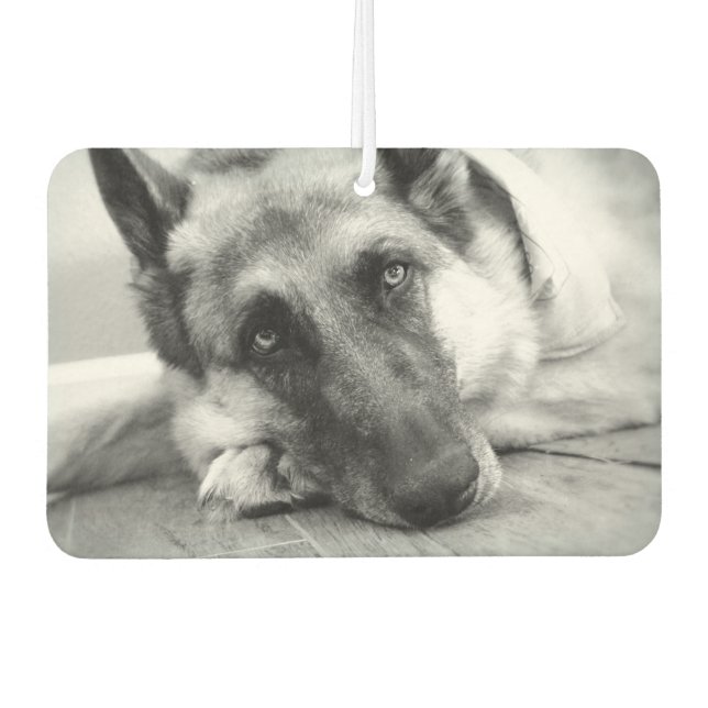 Ambientador Hermoso Shepherd Car Air Freshener (Anverso)