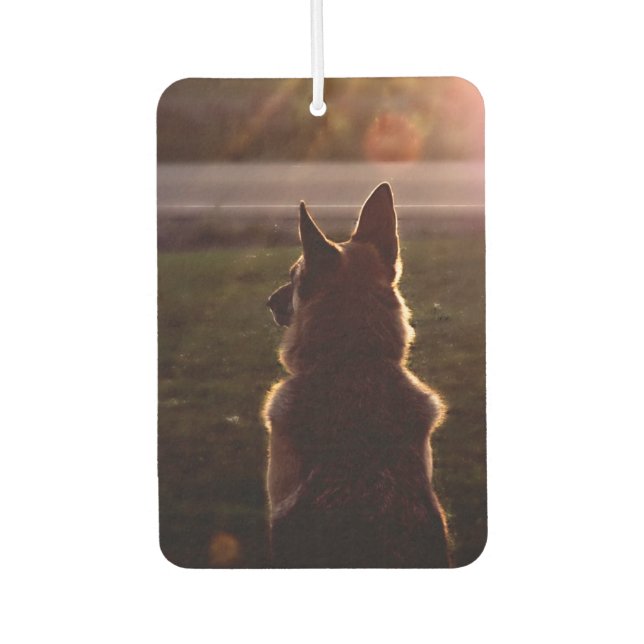 Ambientador Hermoso Shepherd Car Air Freshener (Anverso)