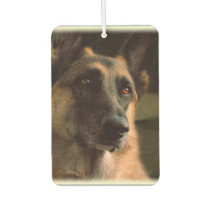 Ambientador Hermoso Shepherd Car Air Freshener