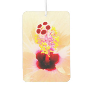 Ambientador Hibiscus