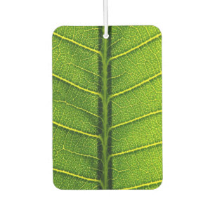 Ambientador Hoja verde