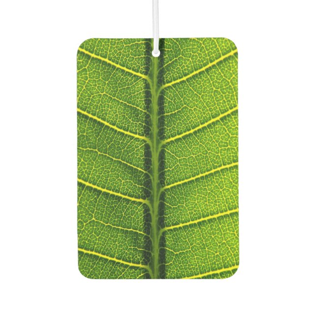 Ambientador Hoja verde (Anverso)