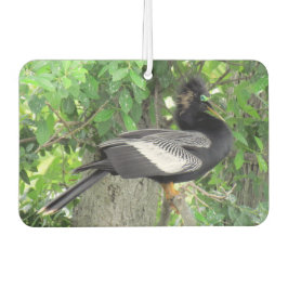 Ambientador Hombres (frontal) y hembras (atrás) Anhinga