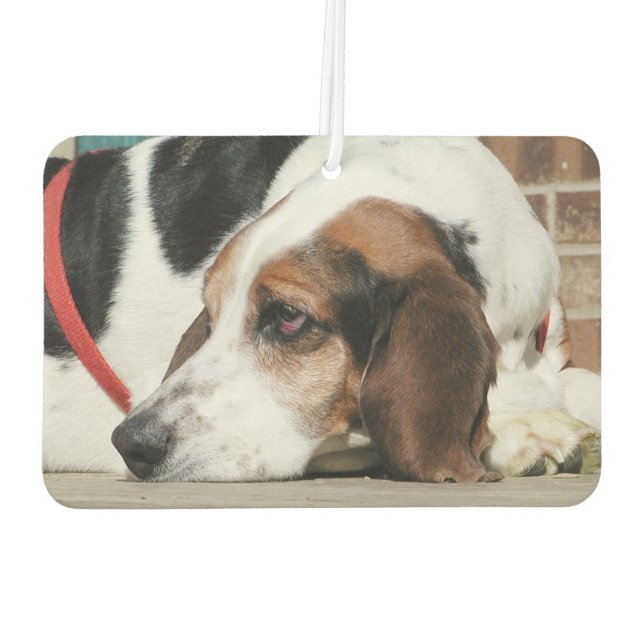 Ambientador Hound Basset (Reverso)