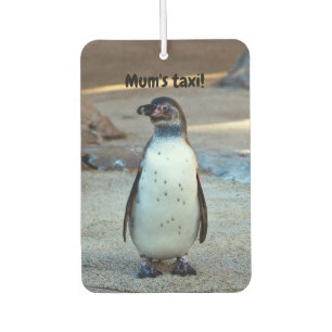 Ambientador Humboldt Penguin Car Freshener