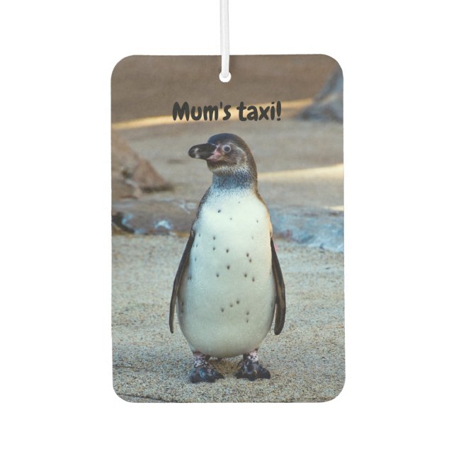Ambientador Humboldt Penguin Car Freshener (Anverso)
