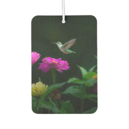 Ambientador Hummingbirds Times Two Car Air Freshener
