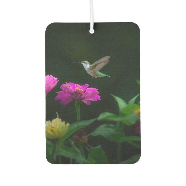 Ambientador Hummingbirds Times Two Car Air Freshener (Anverso)
