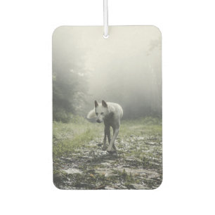 Ambientador Husky Siberiano Blanco