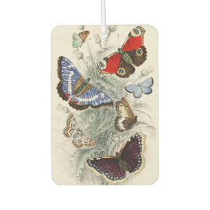 Ambientador Ilustración científica botánica de mariposa vintag