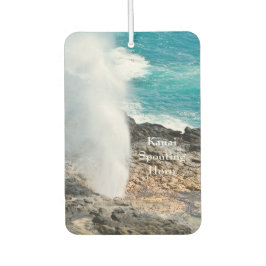 Ambientador Kauai Aqua Océano Spouting Horn Poipu 