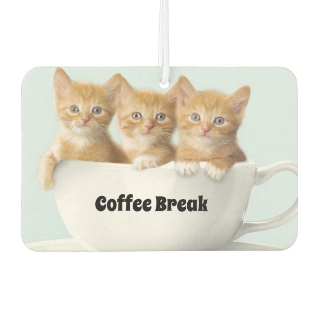 Ambientador Kittens Air Freshener (Anverso)