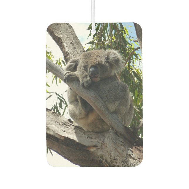 Ambientador Koala - Dormido (Anverso)
