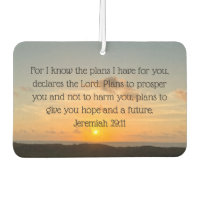 La Biblia inspiradora contra Jeremiah 29:11 Cristi