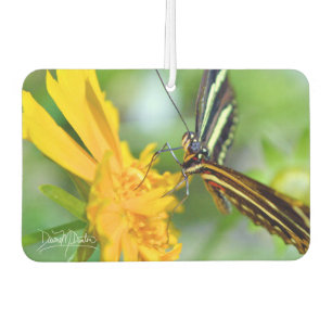 Ambientador La mariposa cebra