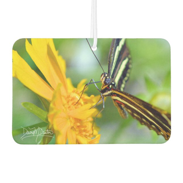 Ambientador La mariposa cebra (Anverso)