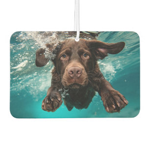 Ambientador Labrador Chocolate Juguetón Nadando Bajo el Agua