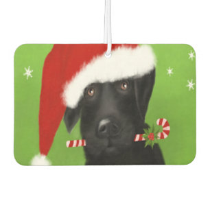 Ambientador Labrador negro - Navidades de laboratorio divertid