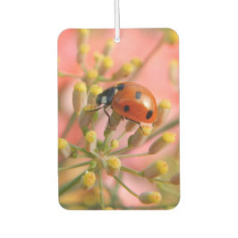 Ambientador Lady Bug Car Air Freshener