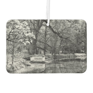 Ambientador Lago romántico